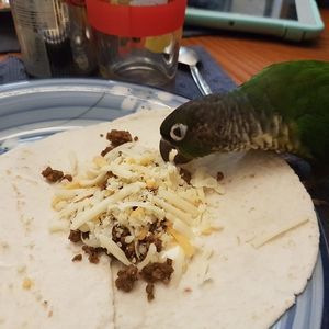 Meet your Posher, Kelsey